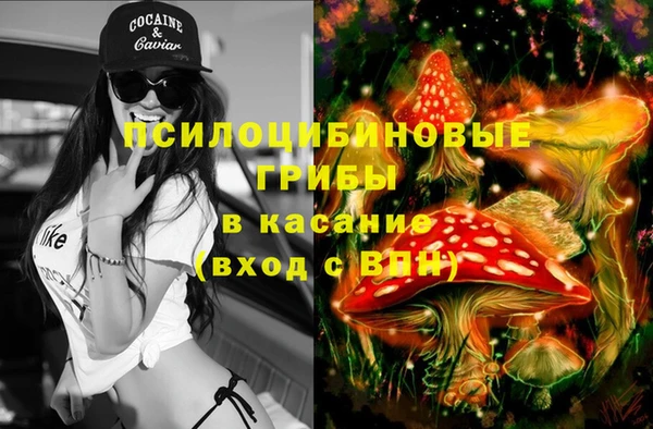 героин Алзамай