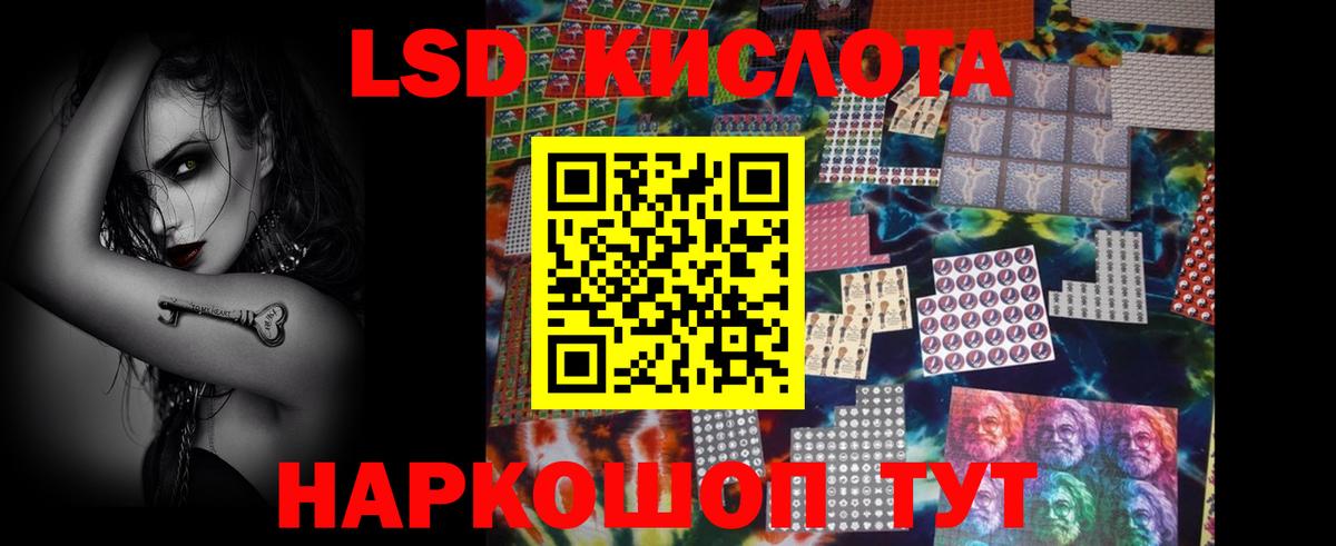 Бердск  LSD-25 экстази кислота  Вход с VPN  Лсд 25 экстази кислота 