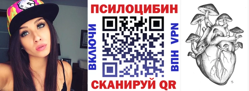 kraken рабочий сайт  Бердск  Галлюциногенные грибы Psilocybe 