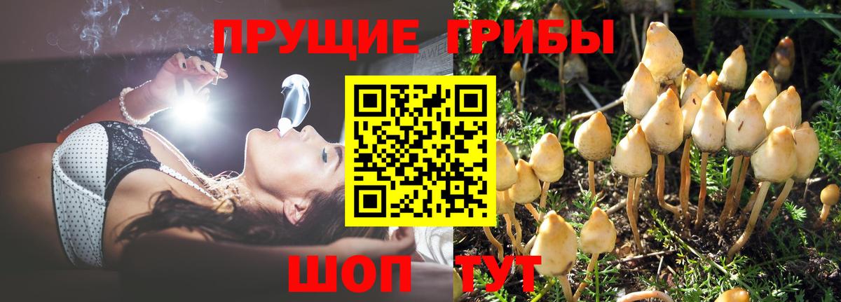Галлюциногенные грибы MAGIC MUSHROOMS Бердск