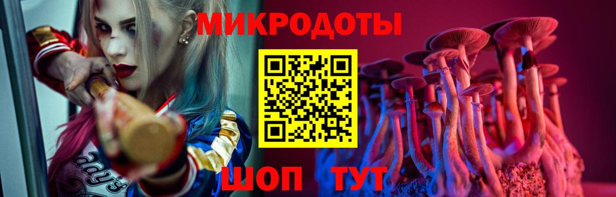 Галлюциногенные грибы ЛСД  Галлюциногенные грибы Psilocybe  Бердск  Вход с VPN 