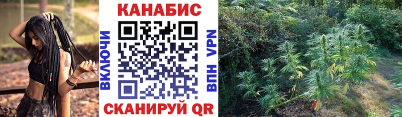 MEGA вход  Бердск  Каннабис THC 21% 